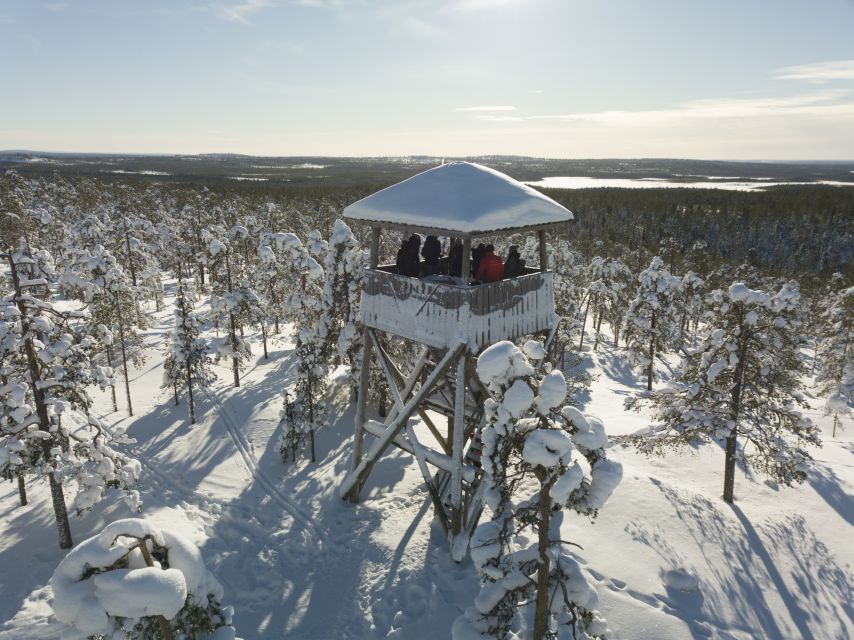 Rovaniemi: Wilderness Tour - Winter walk: snow drifts, animal tracks, and a bear-shaped reality check