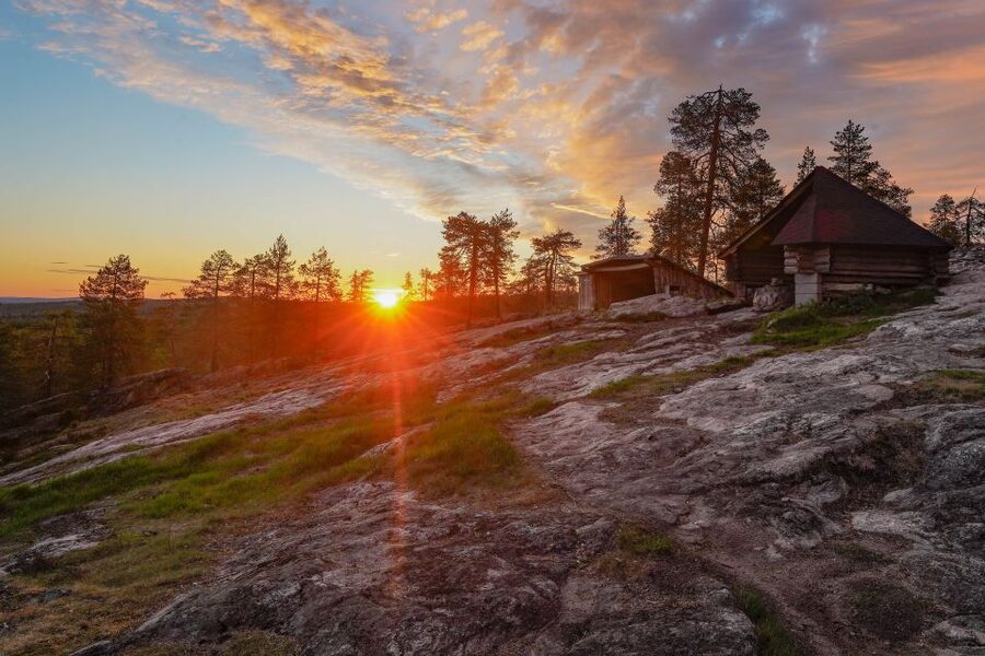 Rovaniemi: Wilderness Tour - Summer version: fairytale forests, nature lessons, and the calm kind of sightseeing