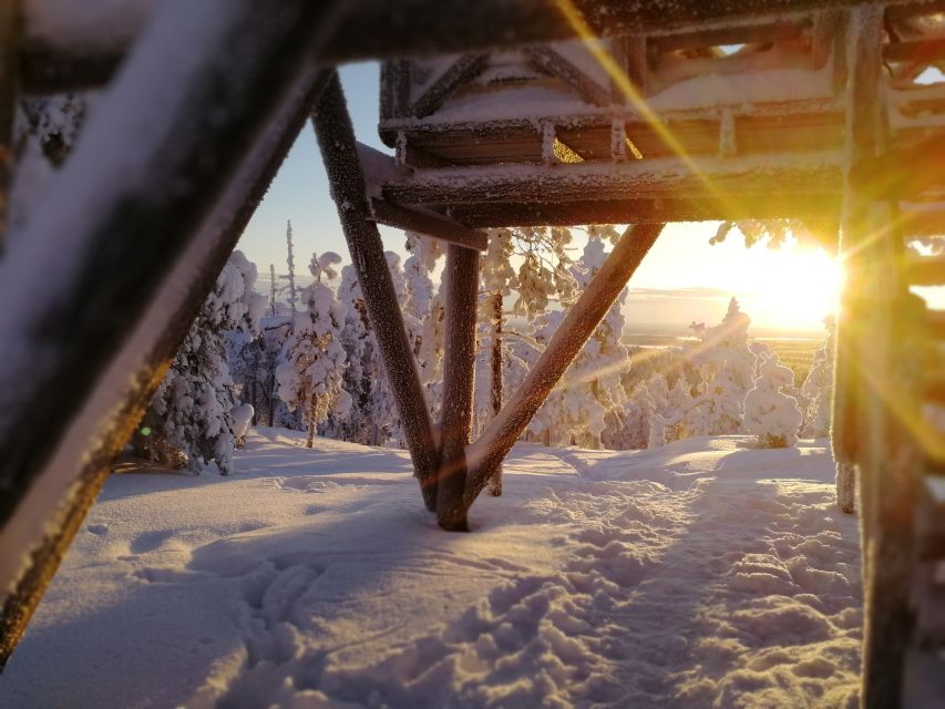 Rovaniemi: Wilderness Tour - The fire lesson: building it without matches (and what it teaches you)