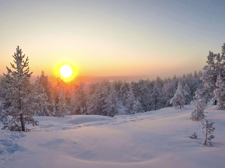 Rovaniemi: Wilderness Tour - Price and value: what $104 buys you in Rovaniemi