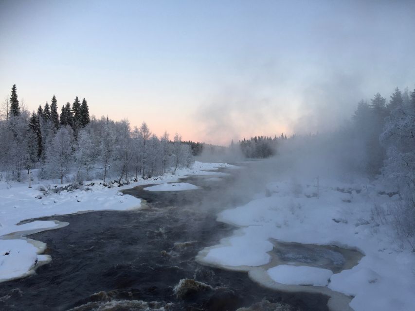 Rovaniemi: Wilderness Tour - Where you meet in Rovaniemi and how pickup works