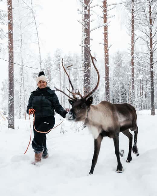 Rovaniemi Winter Activities & Northern Lights! - Warm Up in Lappish Tepees, Then Grill at the Fire