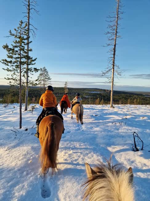 Rovaniemi: Winter Horseback Ride on Snowy Hills and Forests - Key highlights at a glance