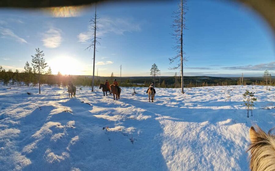 Rovaniemi: Winter Horseback Ride on Snowy Hills and Forests - The 1 Hour on Horseback: Slow, Steady, and Beginner-Friendly