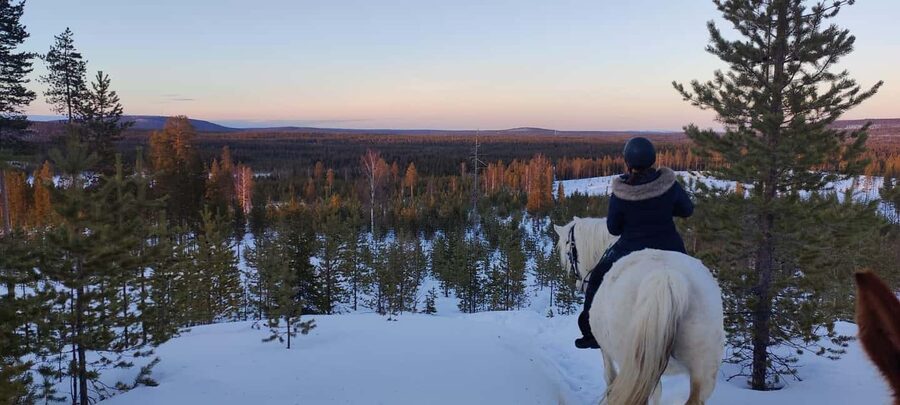 Rovaniemi: Winter Horseback Ride on Snowy Hills and Forests - Lappish Farm Visit: More Than a Riding Break