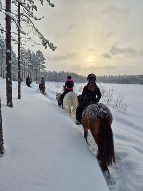 Rovaniemi: Winter Horseback Ride on Snowy Hills and Forests - Getting There From Rovaniemi, 40 Minutes North on E75