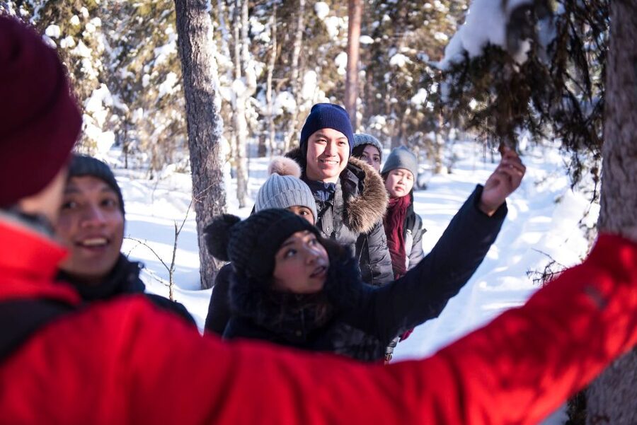 Rovaniemi: Winter Wilderness Snowshoeing Trip - Key moments worth planning for