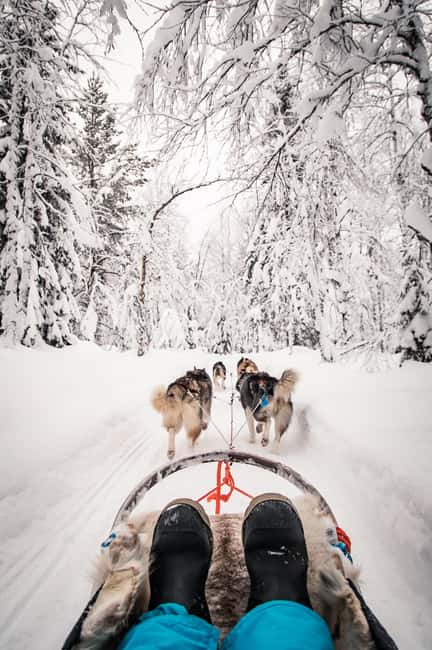 Ruka: 5km Husky Safari with Snacks and Campfire - Who should book this Ruka husky safari, and who should skip it