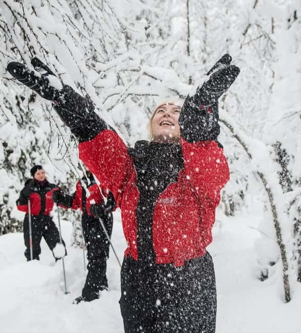 Ruka:Daytime winter wonderland hike - Entering Ruka’s quiet winter woods at a calm, human pace