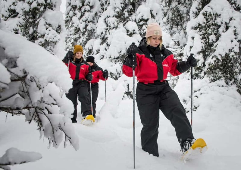 Ruka:Daytime winter wonderland hike - Choosing pickup and avoiding the 11:00 start headache