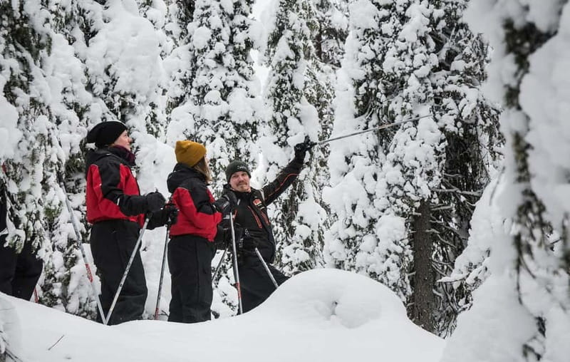 Ruka:Daytime winter wonderland hike - What the guide adds: easier walking and winter learning