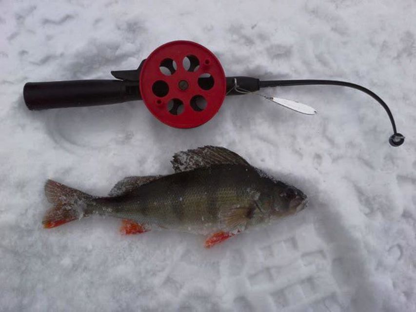 Ruka: Ice fishing trip - What fish you can hope for, and how to think about results without stress