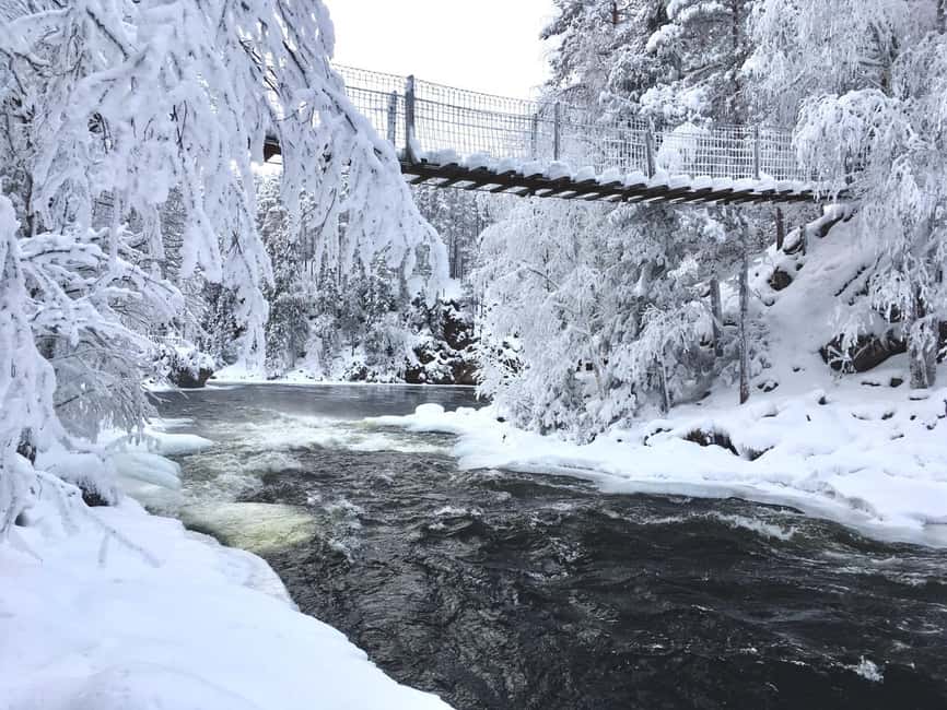 Ruka: Oulanka National Park Snowshoeing Tour - Snowshoes On, Forests Underfoot: The 2-4 km Walking Plan