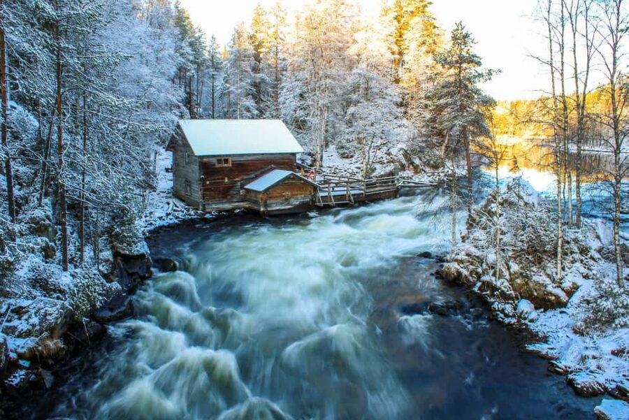 Ruka: Oulanka National Park Snowshoeing Tour - Hot Chocolate by an Old Mill, Plus the Guide’s Flora and Fauna Stories
