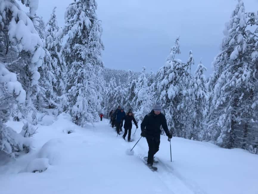 Ruka: Pyhävaara Snowshoeing Tour - Winter Clothing and Snowshoes Included, So You Can Focus on the Trail