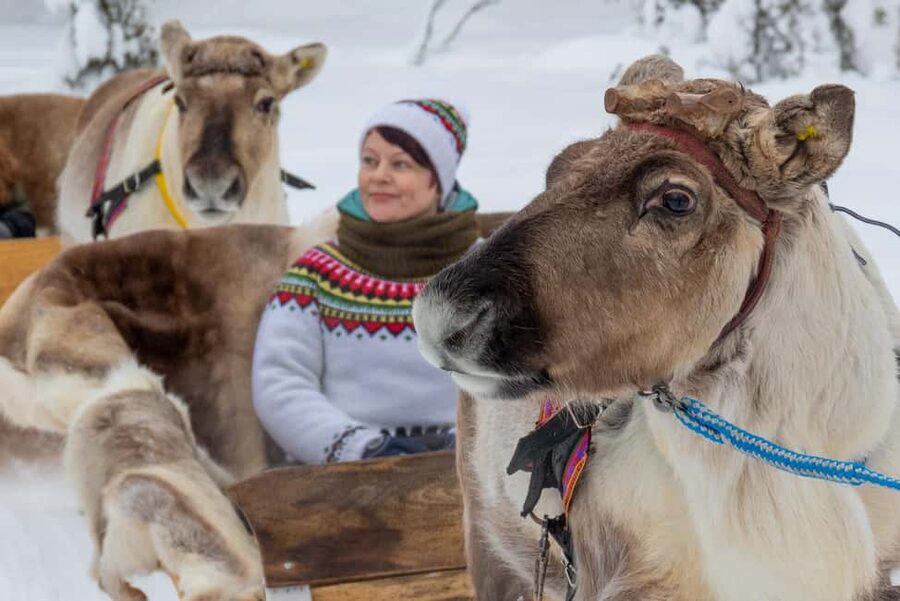 Ruka: Reindeer Ride with Feeding - Finding Lammintupa Cafe in Ruka and settling in