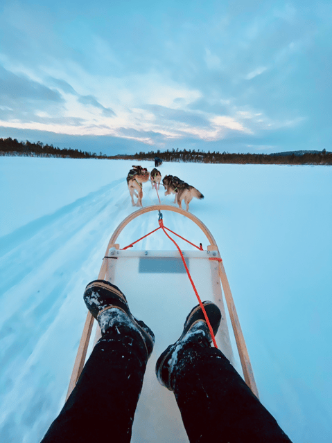 Saariselkä: 10KM Husky Safari with kennel visit - First steps in Saariselkä Lapland: pickup, cold reality, and the safety briefing