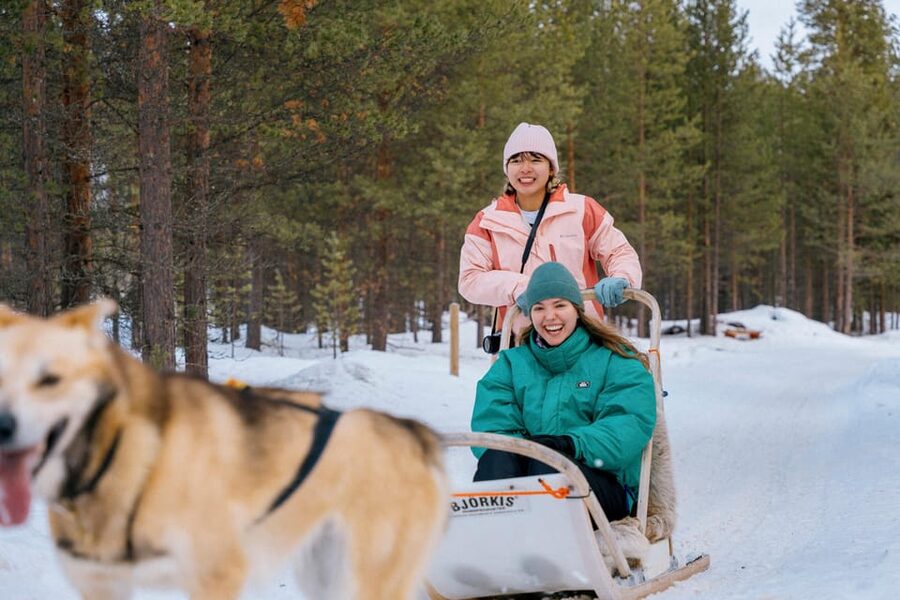 Saariselkä: 10KM Husky Safari with kennel visit - The kennel visit: quality over quantity and why it changes the vibe