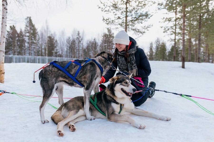 Saariselkä: 10KM Husky Safari with kennel visit - Who this husky safari suits best