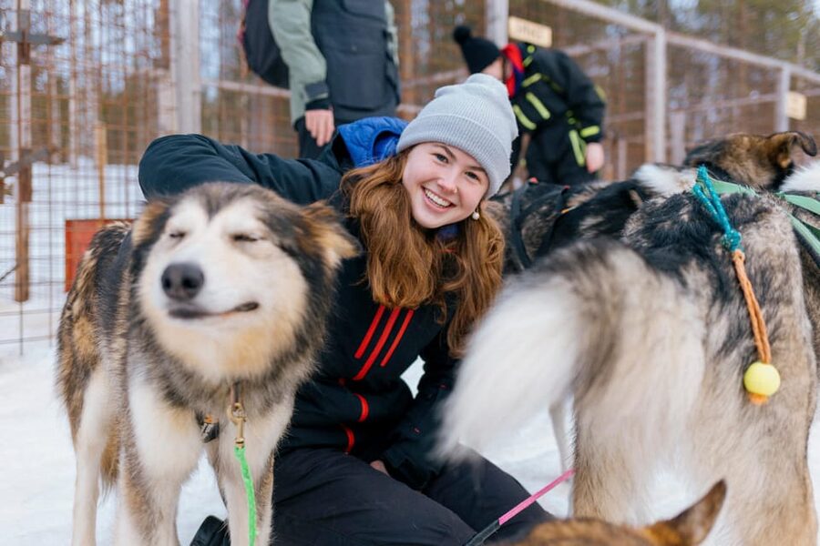 Saariselkä: 10KM Husky Safari with kennel visit - Should you book this Saariselkä 10 km husky safari with kennel visit?