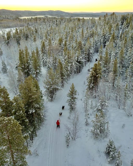 Saariselkä: 10KM Husky Safari with kennel visit - What driving a husky sled feels like on a 10 km track