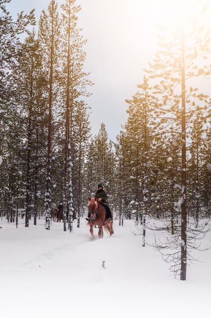 Saariselkä: Arctic Trail Horse Riding Tour - The 2 hour flow: helmet on, forest time, warm drinks later