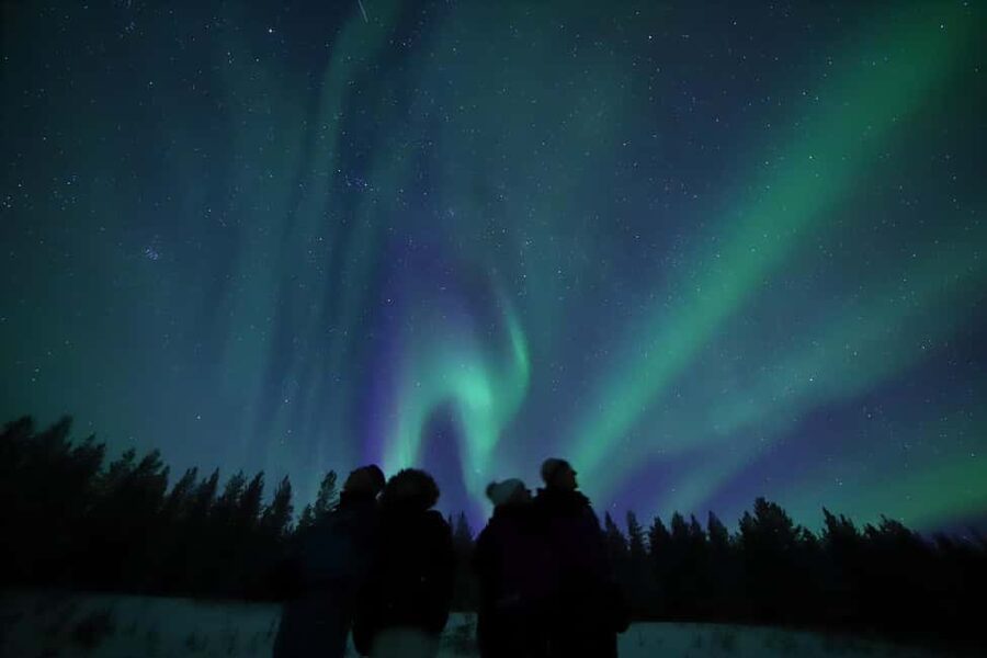 Saariselkä: Aurora Hunting & Reindeer Wilderness Experience - Reindeer Farm Time: Feeding, Petting, and Respectful Up-Close Encounters