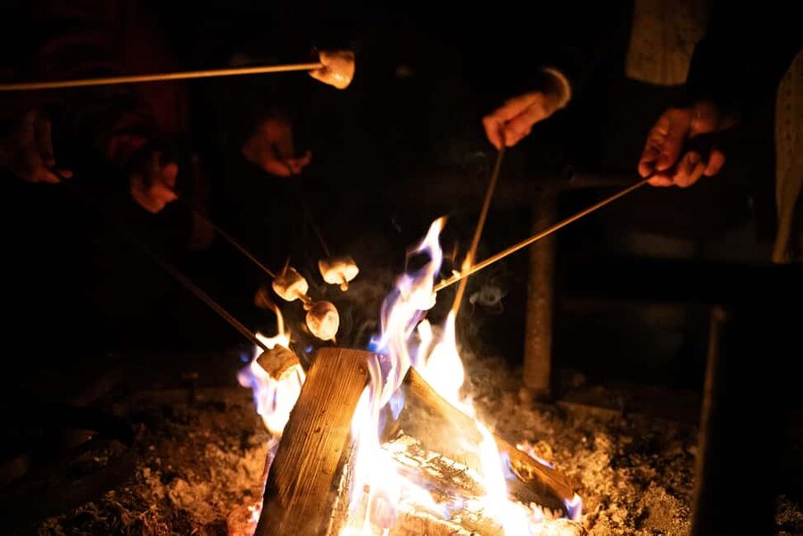 Saariselkä: Aurora Hunting & Reindeer Wilderness Experience - What to Bring and How to Prepare for a Cold Night