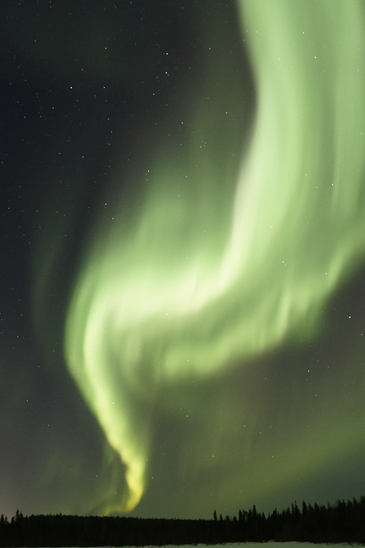 Saariselkä: Aurora Photo Tour by Car with Transfer & Drinks - Gingerbread Cookies and Drinks: A Tiny Detail That Helps You Stay Outside