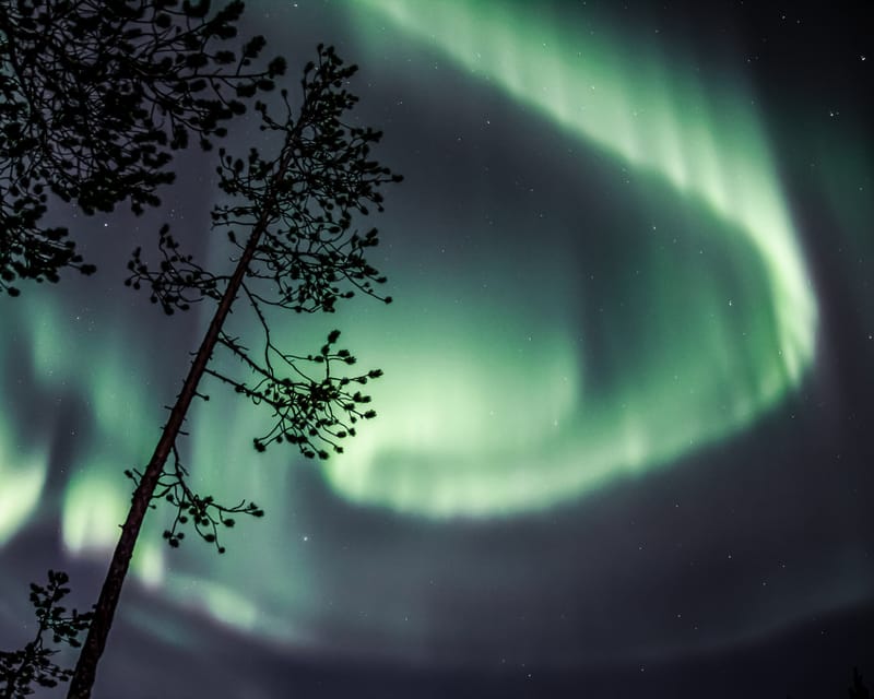 Saariselkä: Aurora Photo Tour by Car with Transfer & Drinks - Aurora Viewing Reality: The Sky Is the Boss