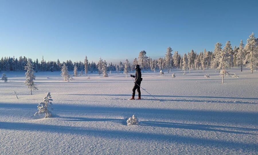 Saariselkä: Back-Country Skiing Guided Tour - Key takeaways before you go