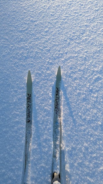 Saariselkä: Back-Country Skiing Guided Tour - Why back-country skiing in Saariselkä feels different than groomed tracks