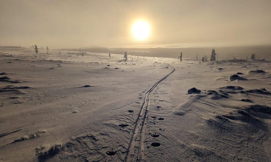 Saariselkä: Back-Country Skiing Guided Tour - Getting your gear: longer, wider skis that make soft snow manageable