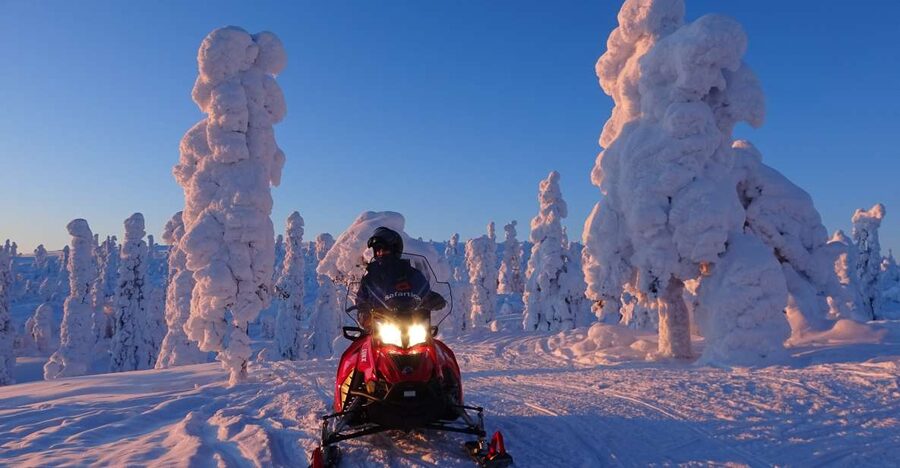 Saariselkä: Evening Snowmobile Tour with Fire & picnic - Saariselkä nights on a snowmobile: why the timing matters