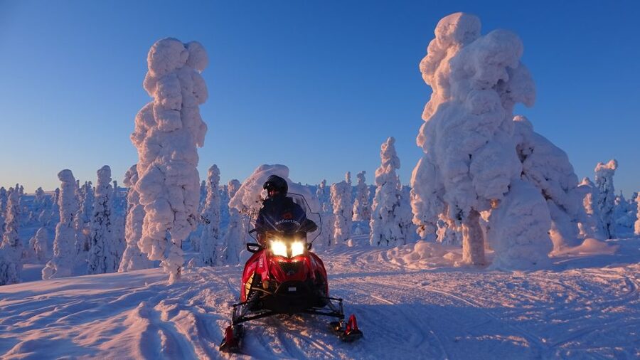 Saariselkä: Evening Snowmobile Tour with Fire & picnic - Driving rules, age limits, and what to bring