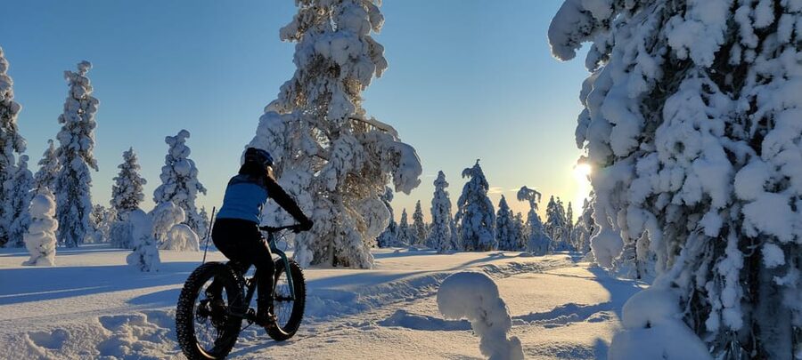 Saariselkä: Guided Fatbike Tour - E-fatbike and bio fatbike, and why “similar bikes” matters