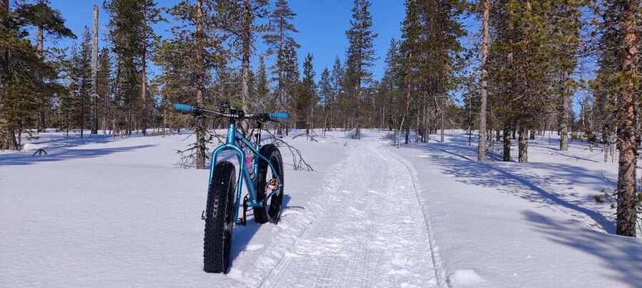 Saariselkä: Guided Fatbike Tour - Who this Saariselkä fatbike tour suits best
