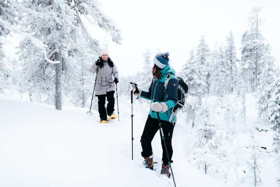 Saariselkä: Guided Forest Snowshoe Walk - Key things to know before your Saariselkä snowshoe walk