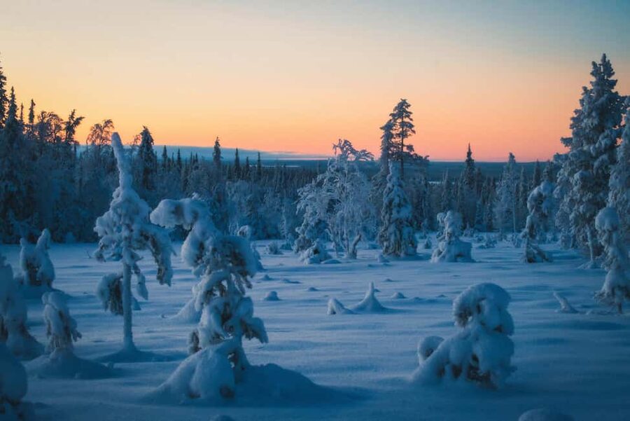 Saariselkä: Guided Forest Snowshoe Walk - The 2-hour rhythm: from Restaurant Kuksa into snowy woods