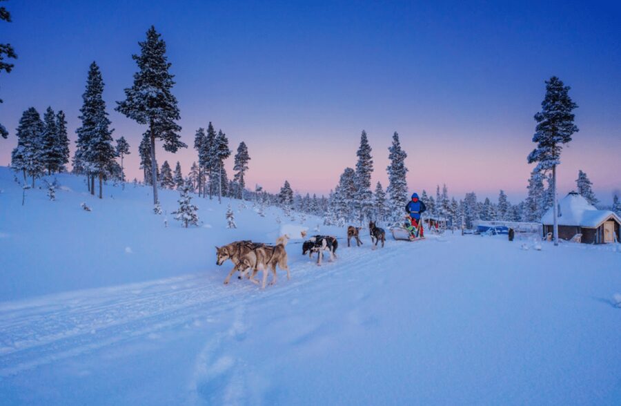 Saariselkä: Husky Safari with Aurora Borealis Hunt - Husky Safari and Aurora Hunt in Saariselkä: what this night trip really offers