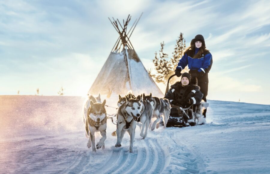 Saariselkä: Husky Safari with Aurora Borealis Hunt - Getting there: pickup, transfers, and why the timing matters