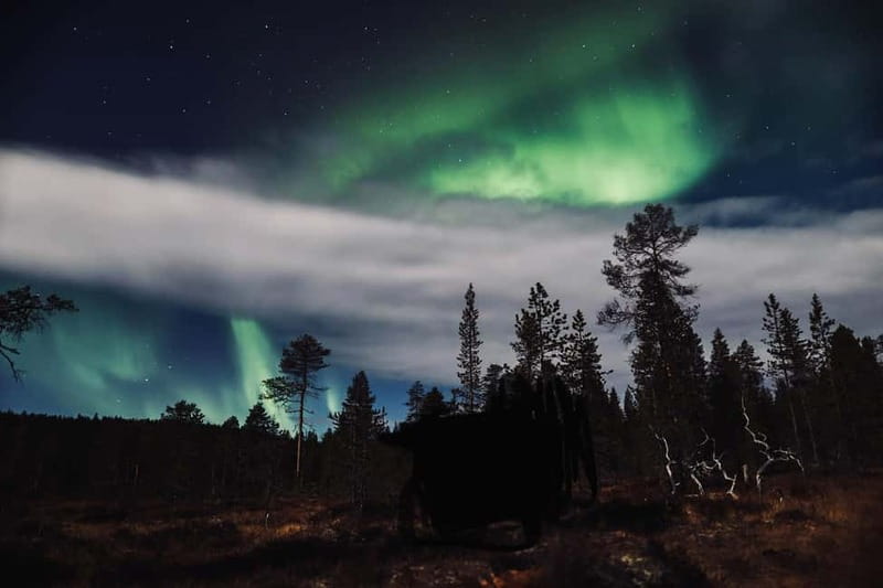 Saariselkä,Kakslauttanen: Aurora Hunting & Photography Tour. - Why driving instead of snowmobiling can increase your odds