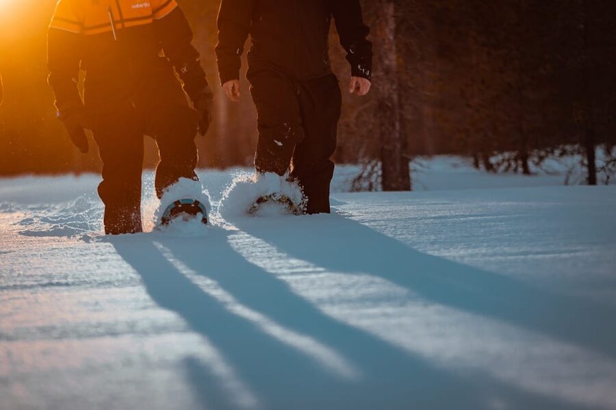 Saariselkä: Northern Lights Hunting Snowshoe Trip - Key things I’d bet on (before you book)