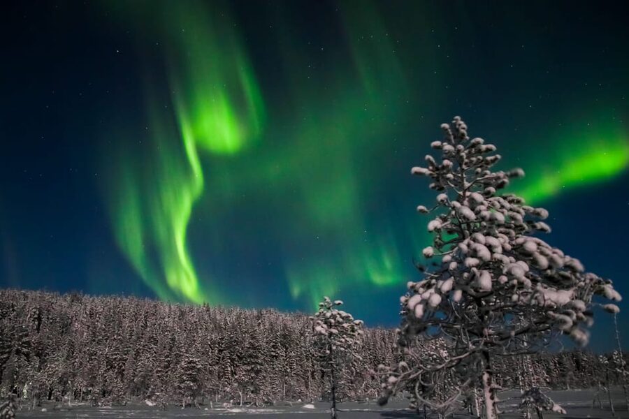 Saariselkä: Northern Lights Hunting Snowshoe Trip - 2.5 Hours of Snowshoeing, Sky Watching, and Hot Chocolate