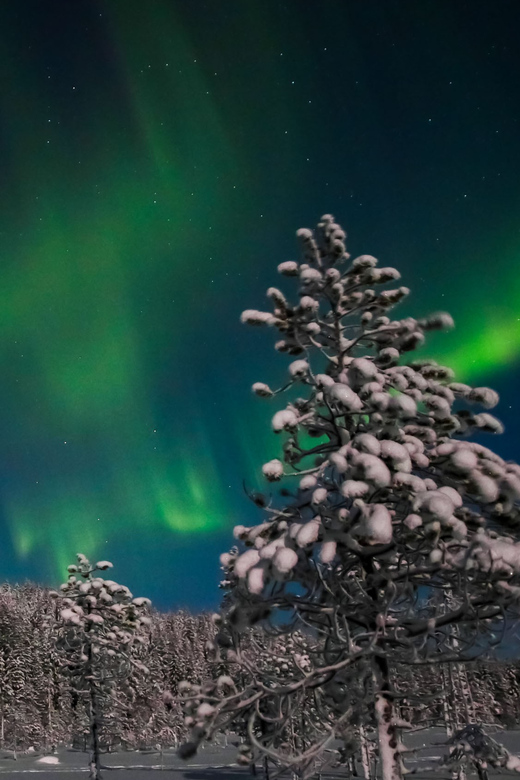 Saariselkä: Northern Lights Hunting Snowshoe Trip - Clothing and Gear: What’s Provided, What You Should Bring
