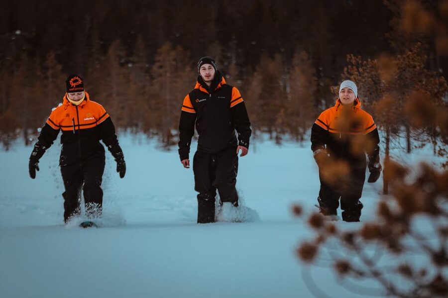 Saariselkä: Northern Lights Hunting Snowshoe Trip - Who This Trip Suits Best