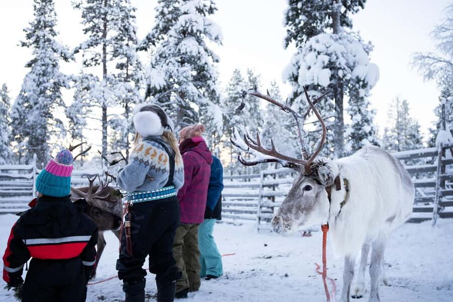 Saariselkä: Reindeer Farm Experience with Snack and Drinks - Kuukkeli Reindeer Farm: What You’re Really Doing in 1 Hour