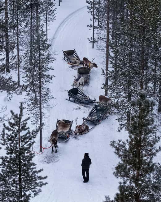 Saariselkä : Reindeer Sleigh Ride with Snacks & Hot Drink - Meeting at Honkapolku 1: short van ride, then you’re in it