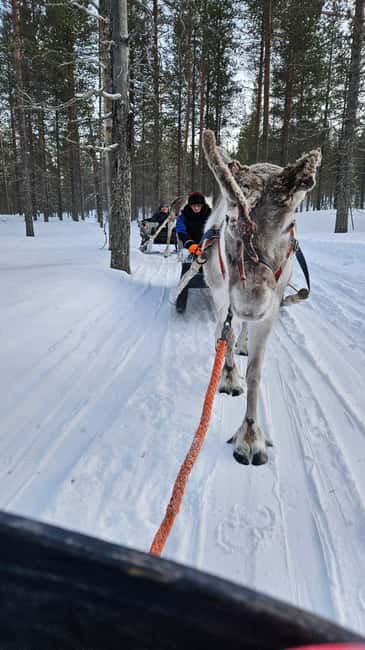 Saariselkä : Reindeer Sleigh Ride with Snacks & Hot Drink - The halfway fire stop: hot drink, snack, and a chance to meet the reindeer