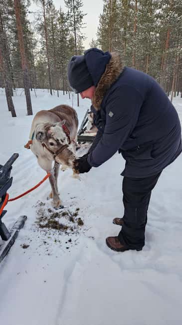 Saariselkä : Reindeer Sleigh Ride with Snacks & Hot Drink - What you’re paying for: gear, guide, sled time, and the fire stop